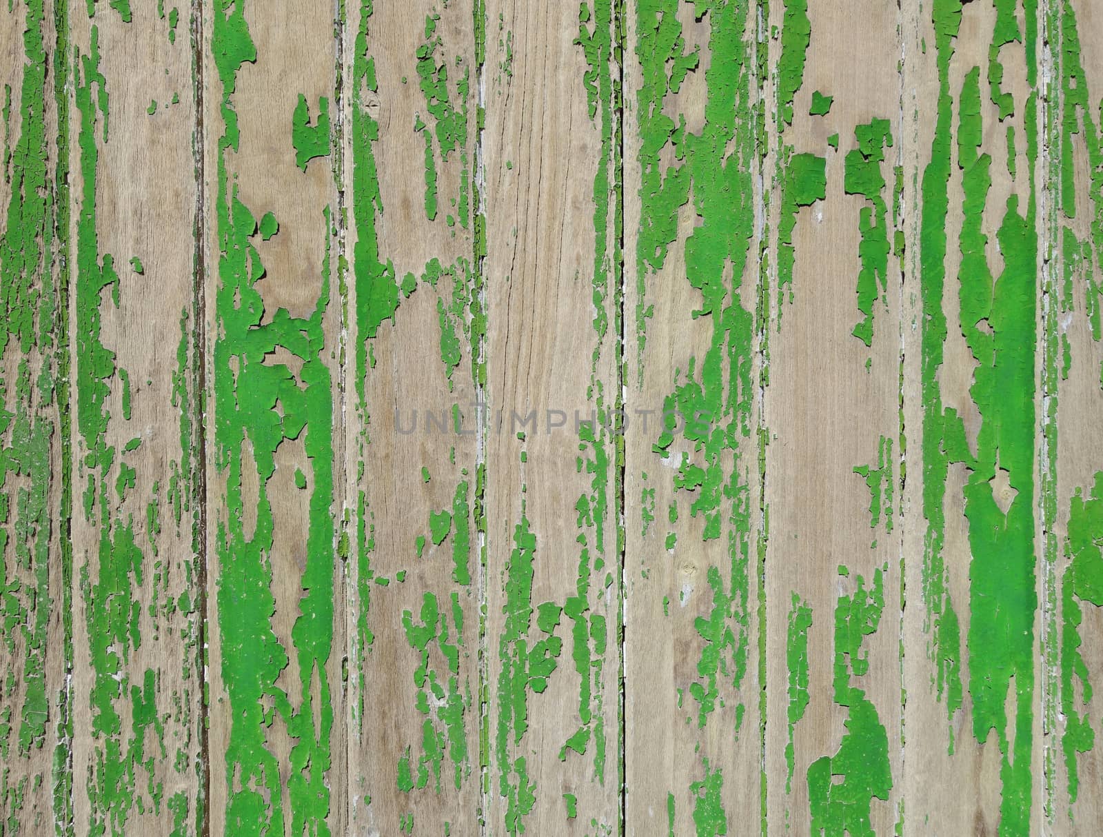 Old wood board painted green, background texture                               