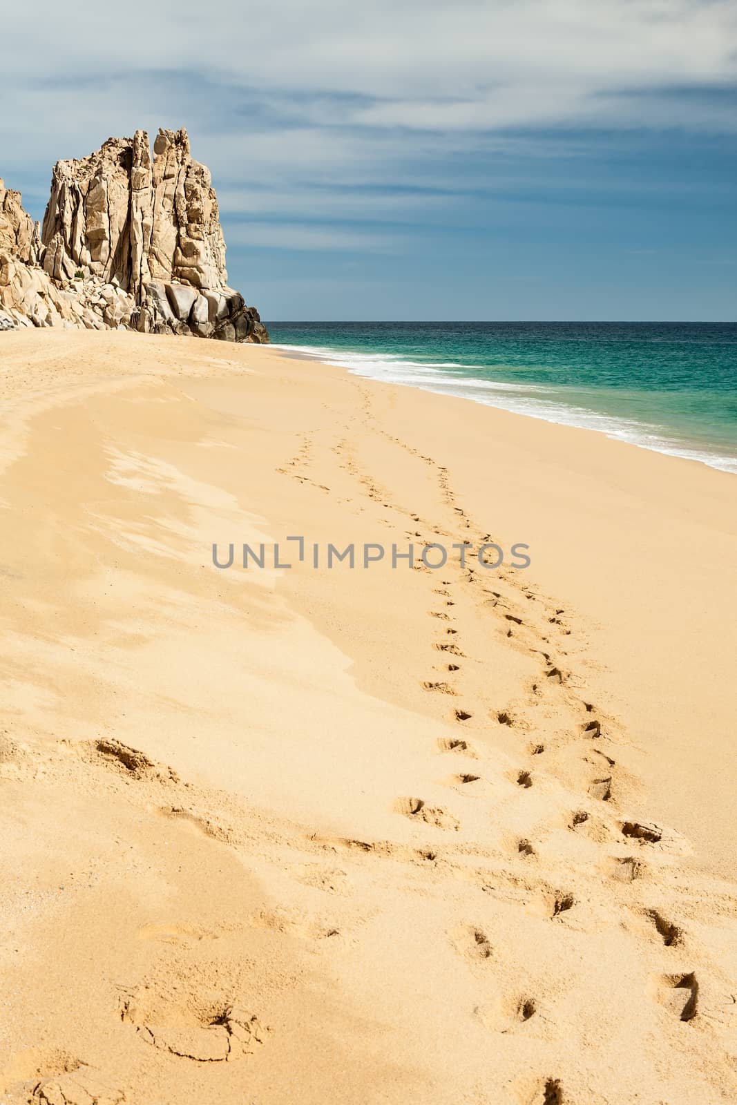Footsteps in the beach of Cabo San Lucas beach, Mexico