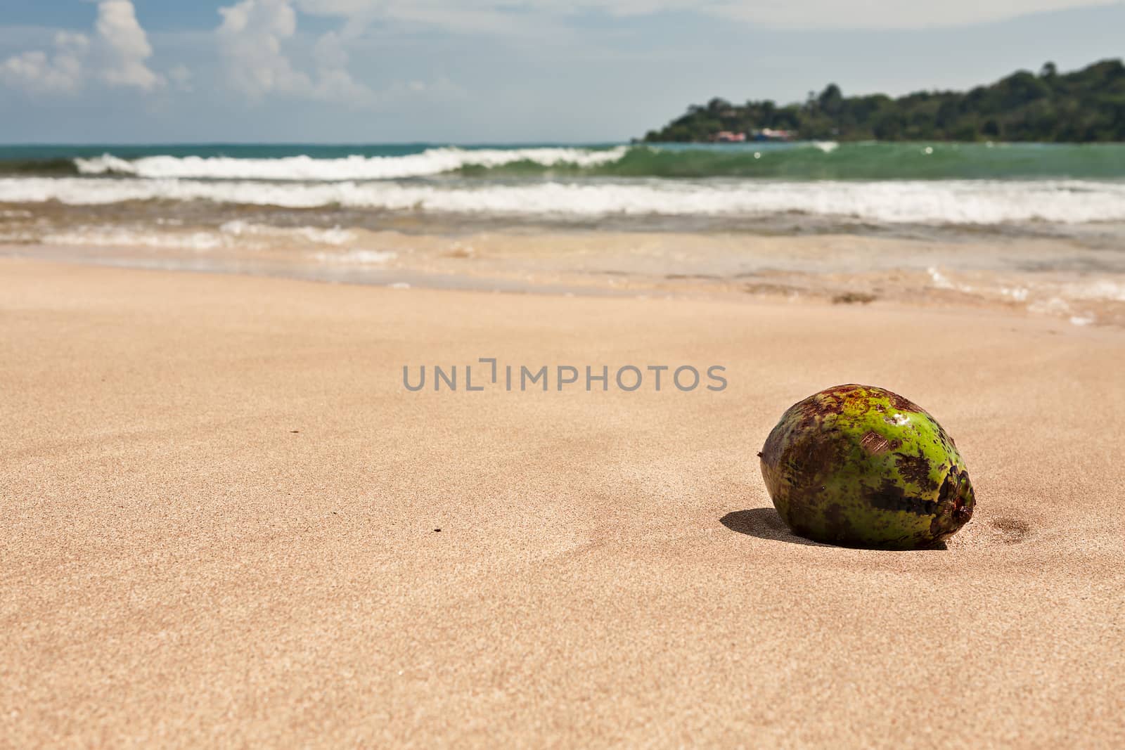 Lone coconut on the beach by LuigiMorbidelli