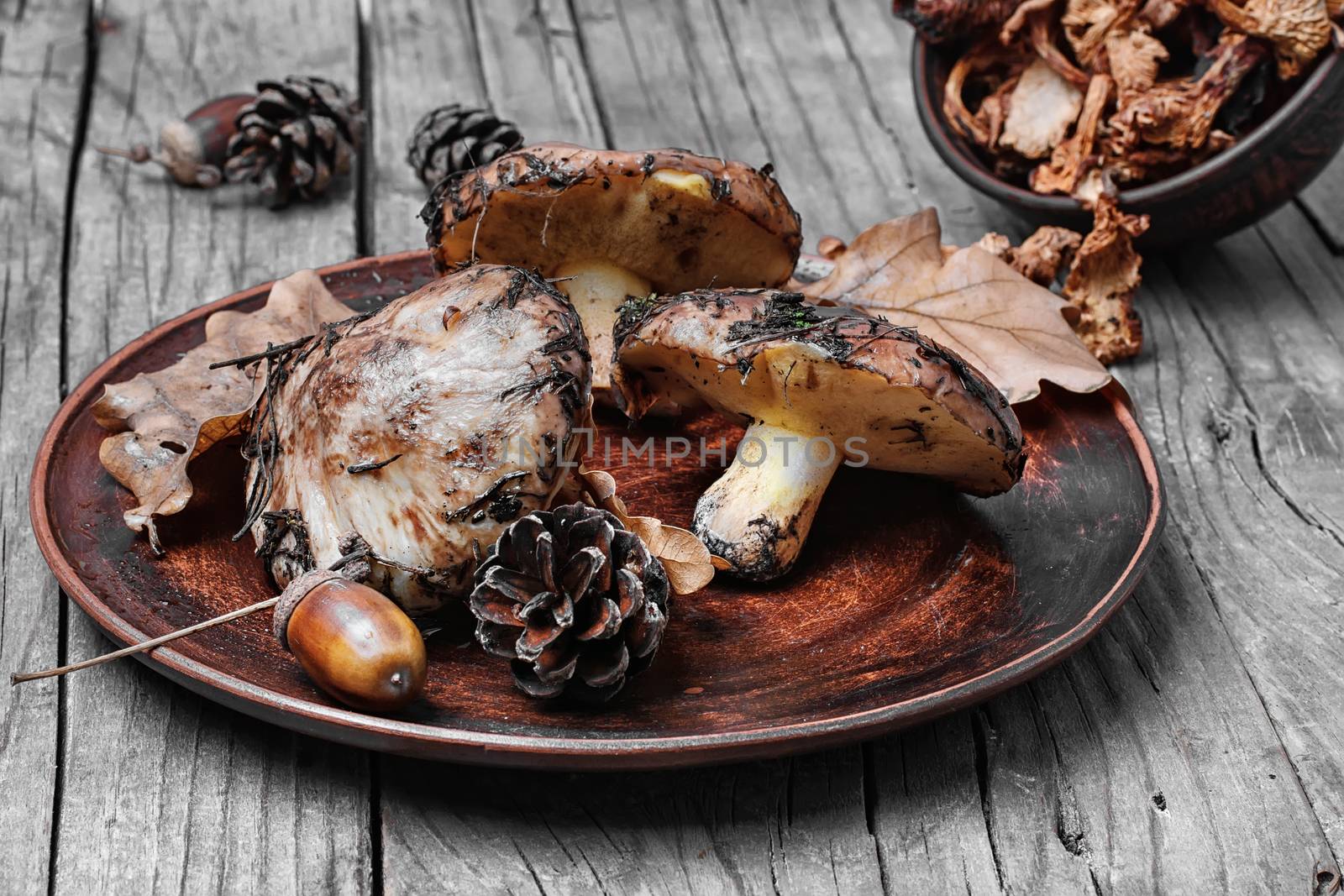 Plate collected in the forest boletus mushrooms on a wooden background