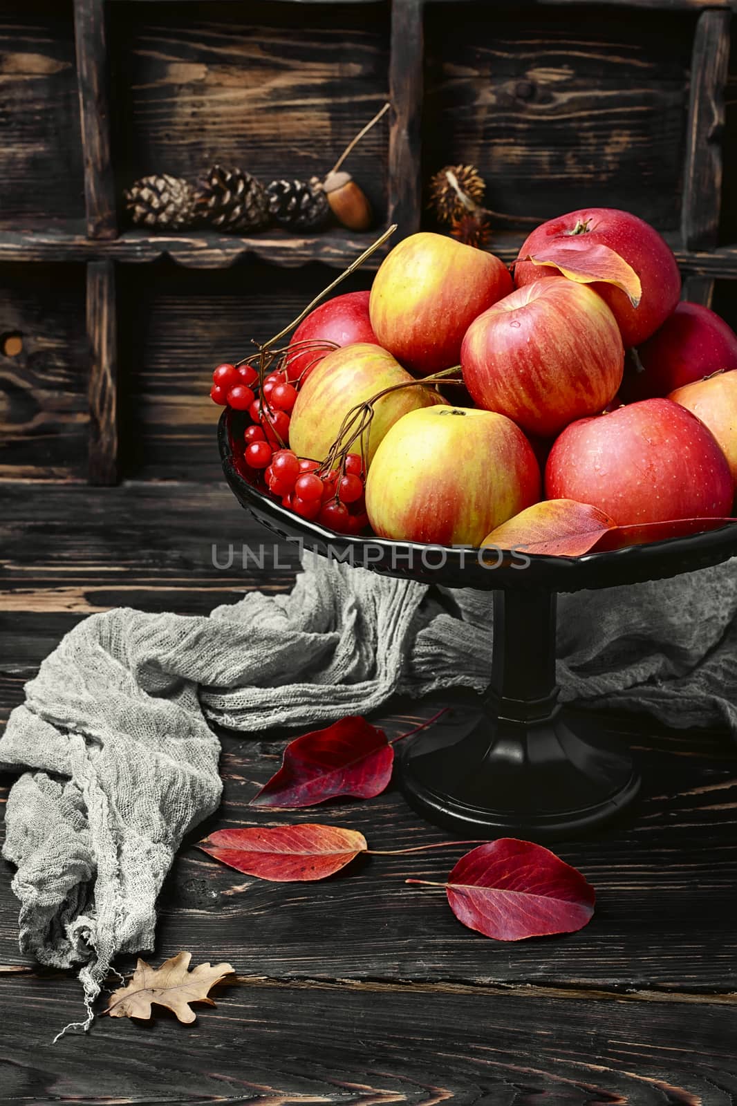 Harvest apples autumn varieties in stylish vase for fruits