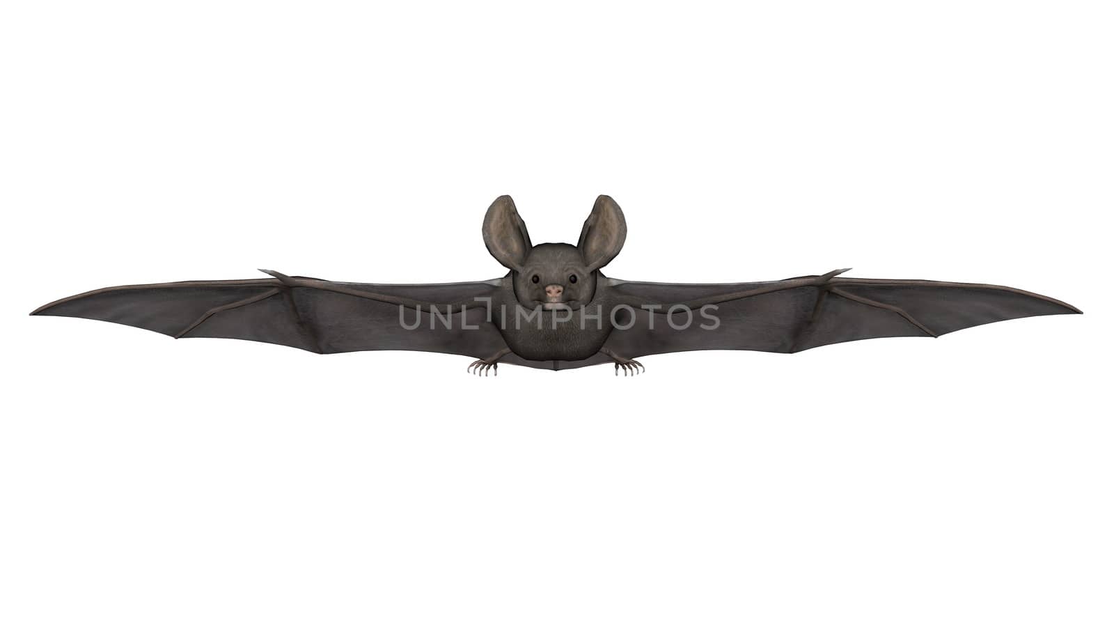 Flying bat - 3D render by Elenaphotos21