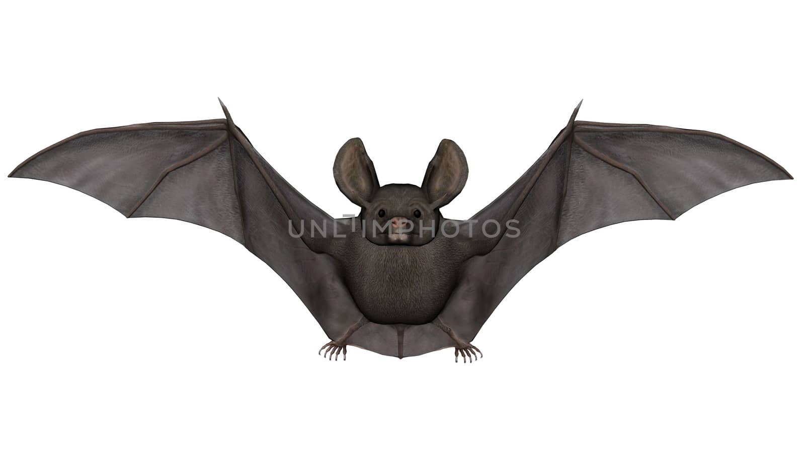 Flying bat - 3D render by Elenaphotos21