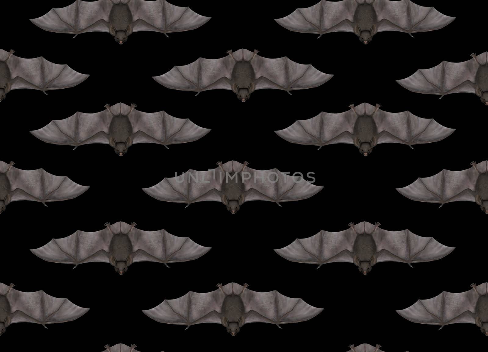 Flying bat in seamless black background - 3D render by Elenaphotos21