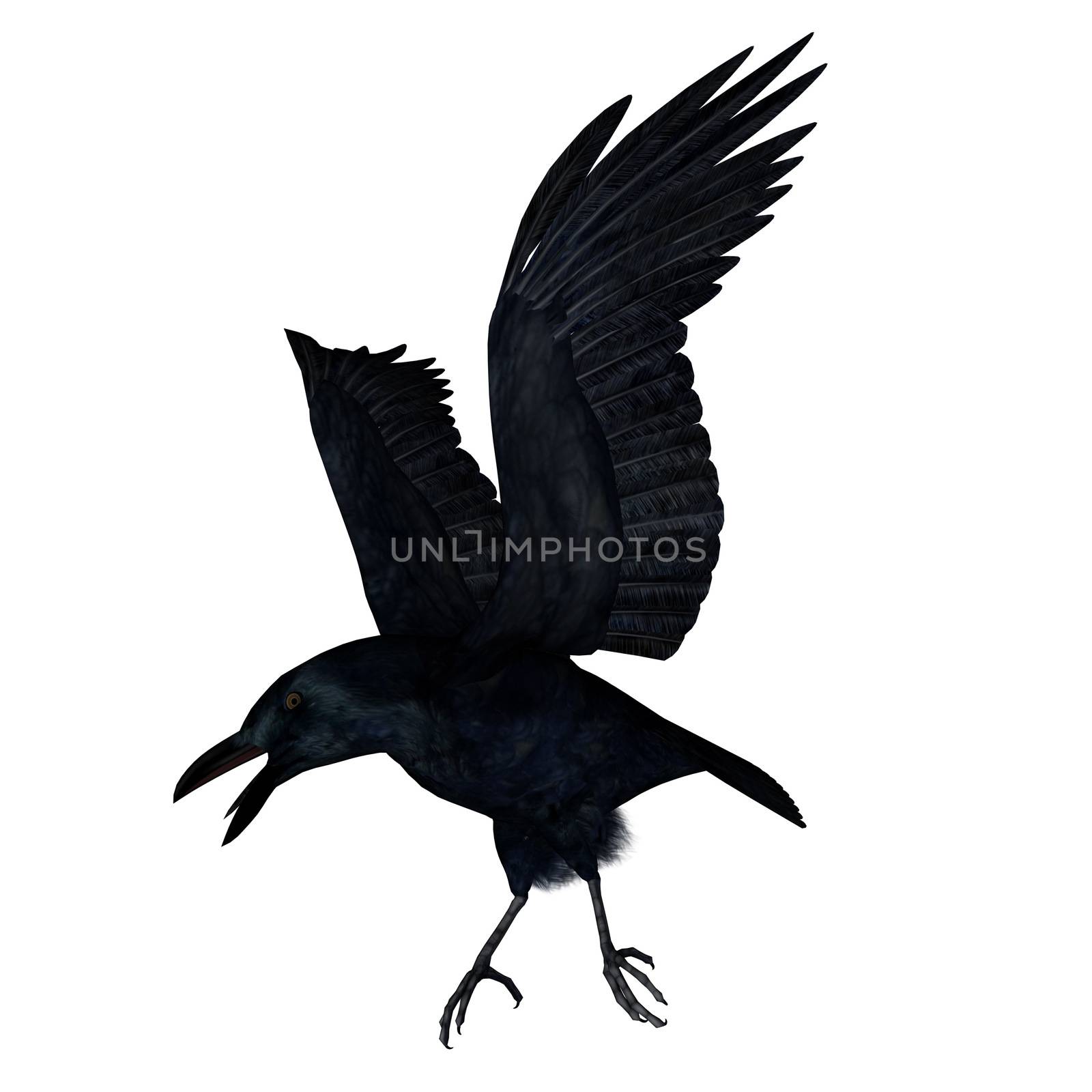 Black crow flying - 3D render by Elenaphotos21