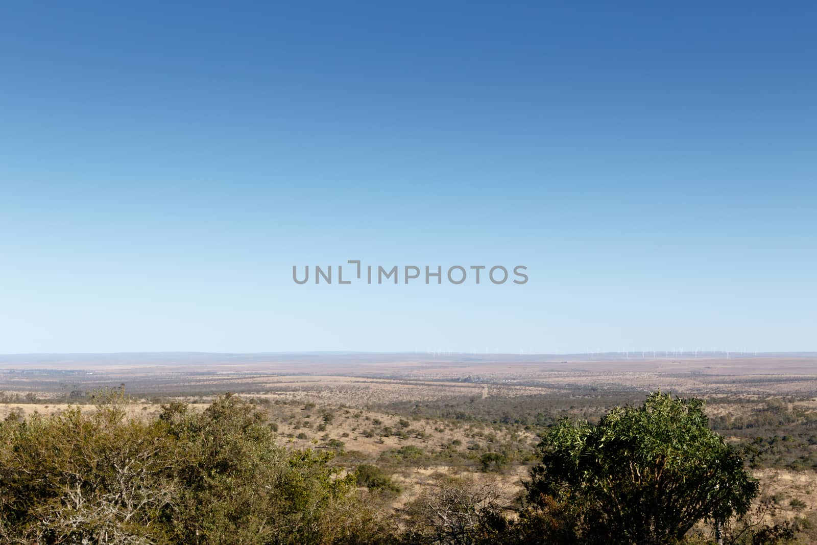 Blue skies overlooking flat landscape with trees in the foreground.