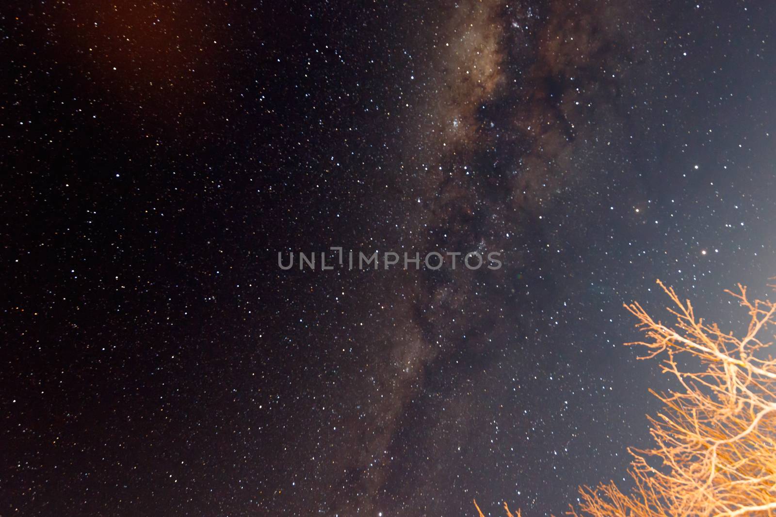 Beautiful photo of the Milky Way galaxy in Hogsback South Africa