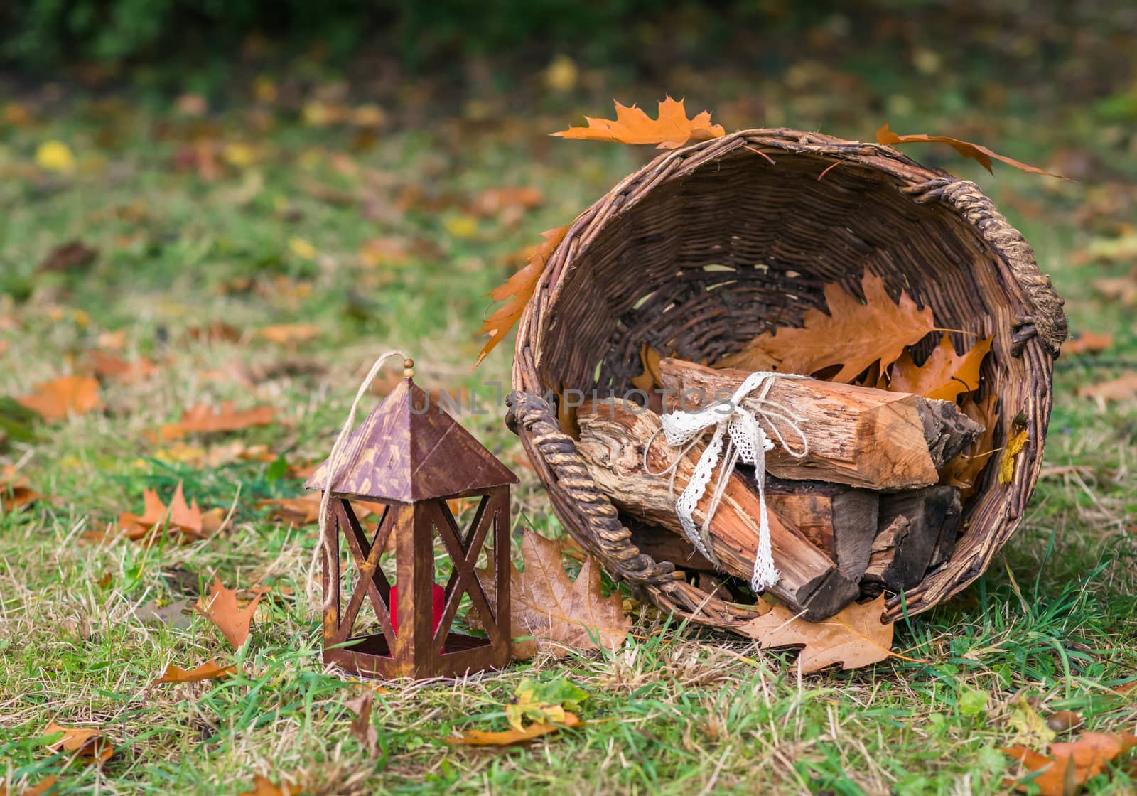 still life with a basket of logs on the grass in the garden in autumn