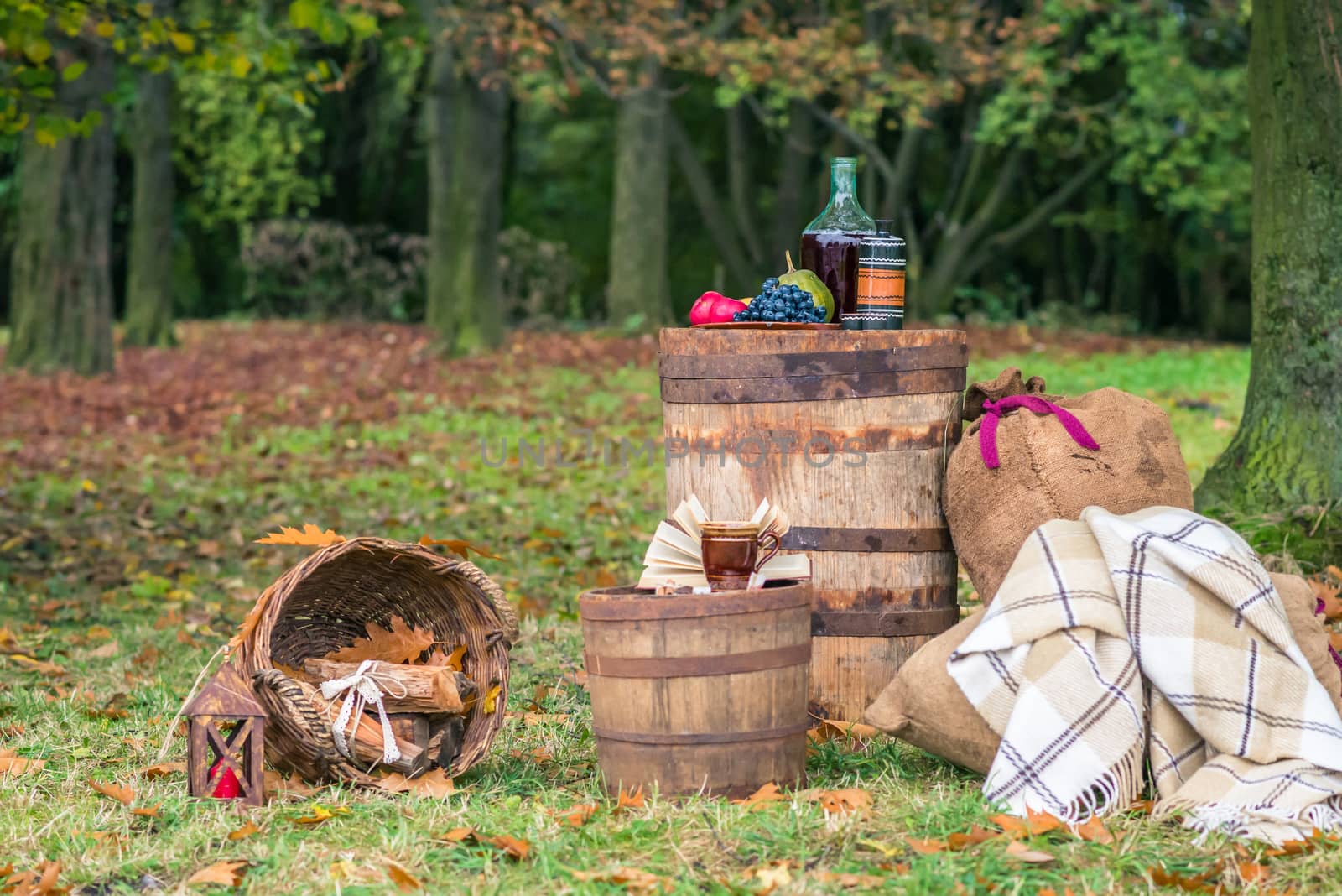 still life with barrels of coffee cup, fruit and red wine and basket of logs in the garden autumn