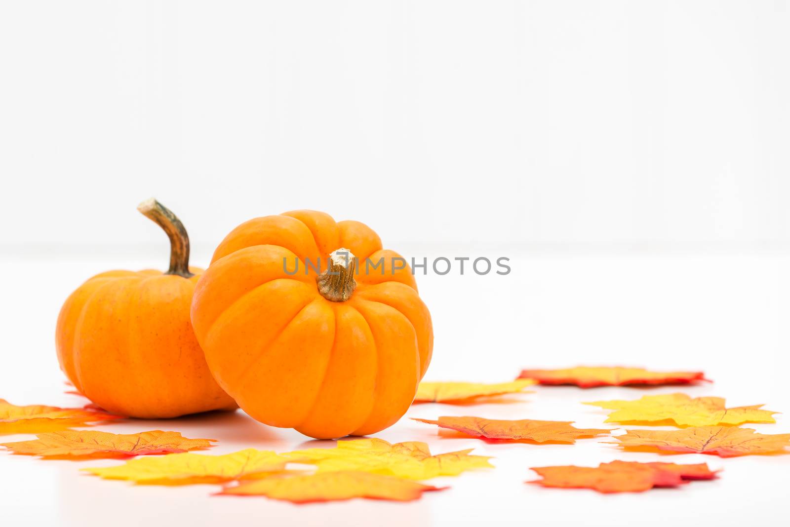 Two ripe pumpkins among colorful autumn leaves.