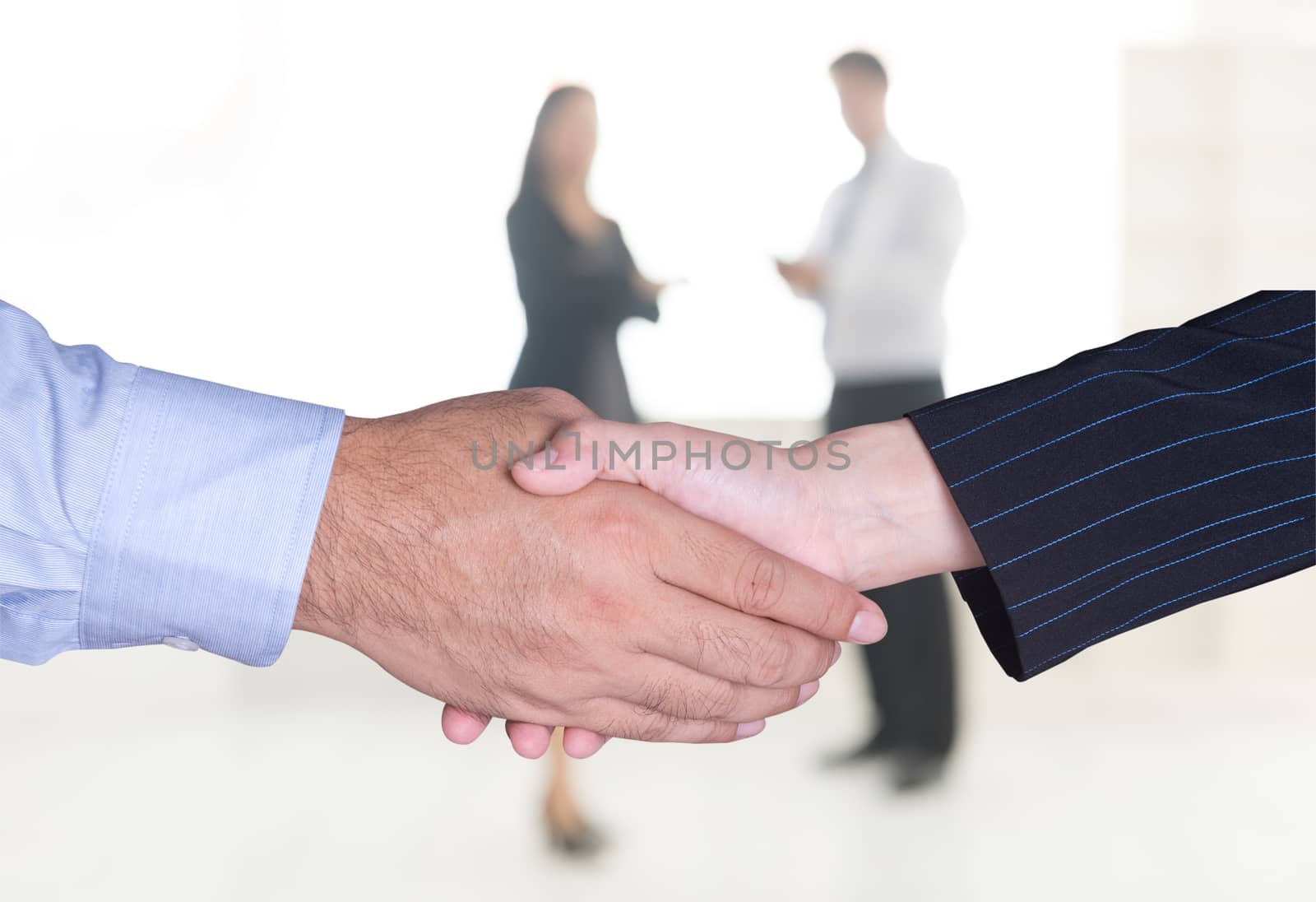 Closeup of a business handshake with office background.
