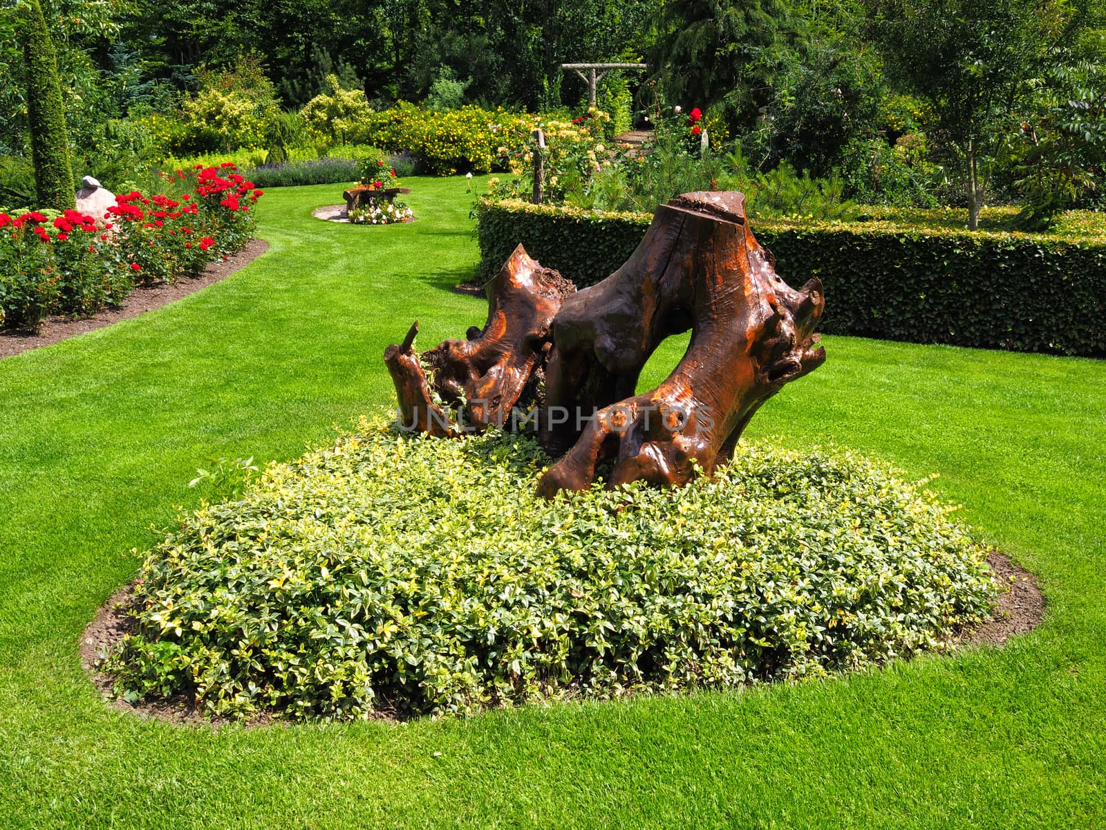 Beautiful English style garden with lush green lawn and blooming flowers     