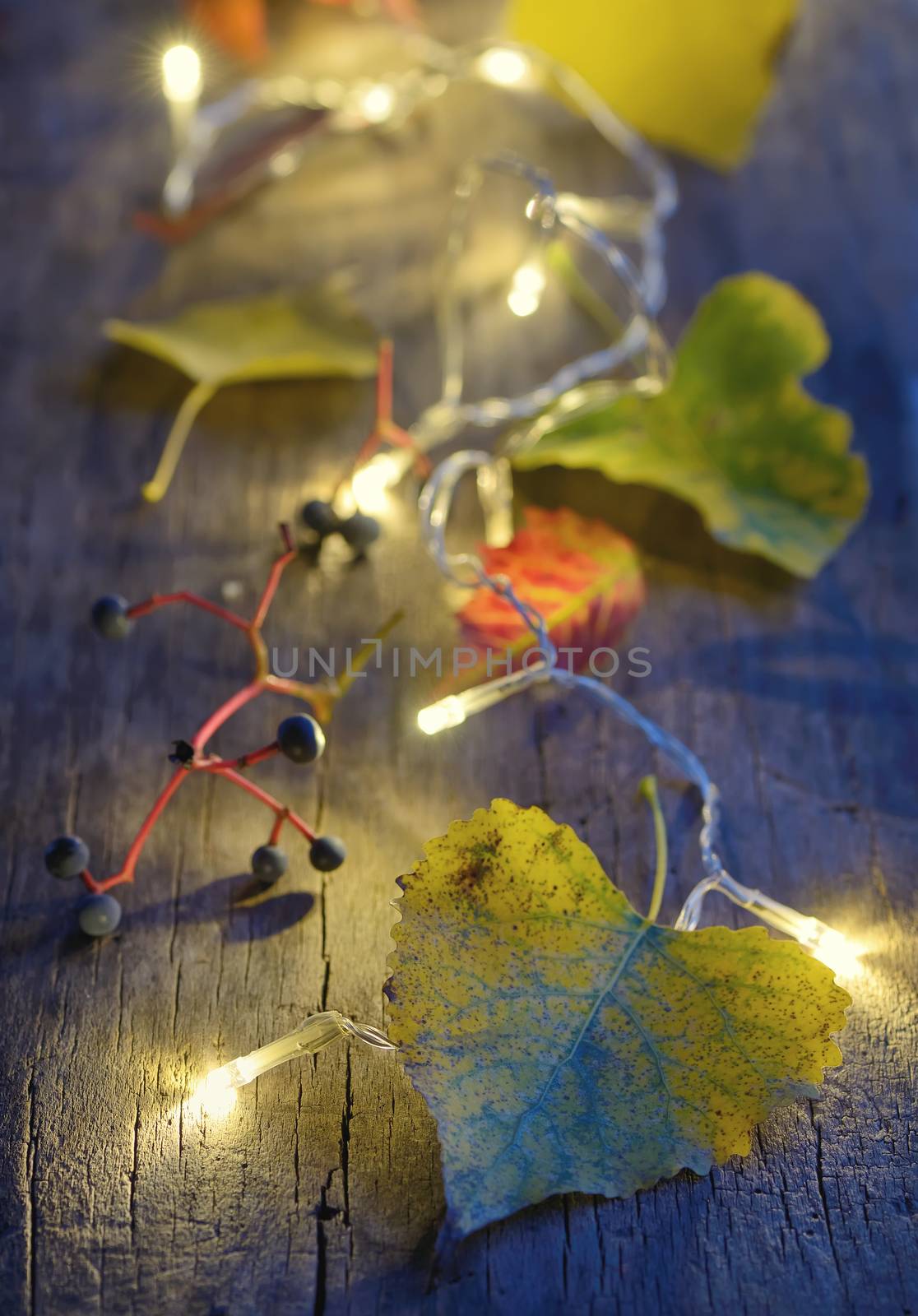 Autumn leaves on wooden board and christmas lights glowing