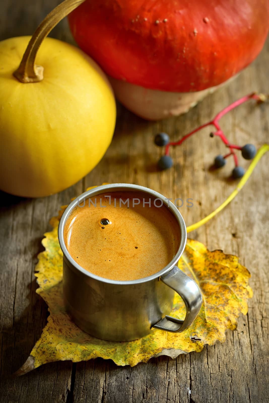 Autumn cup of coffee and pumpkin on wooden background