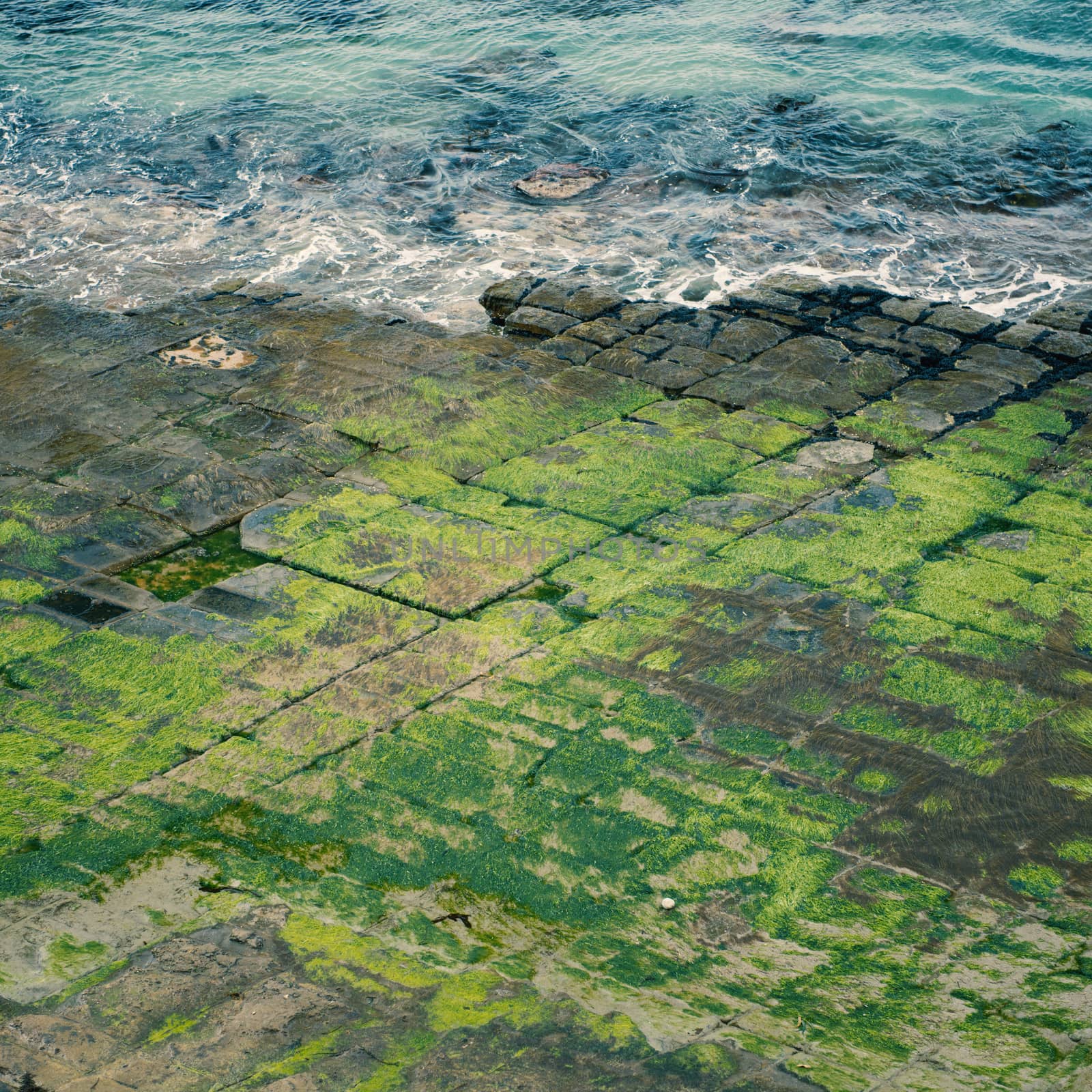 View of Tessellated Pavement in Pirates Bay, Tasmania.