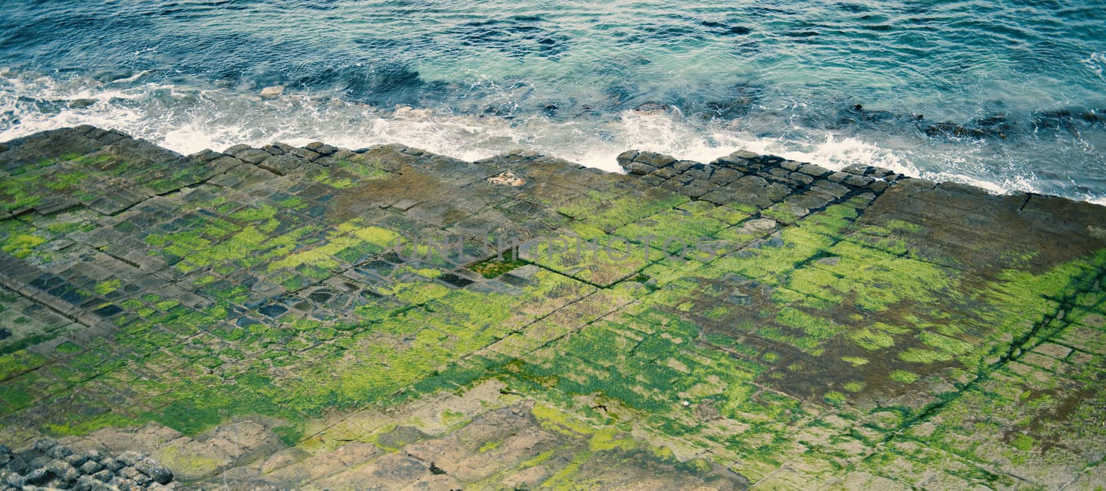 View of Tessellated Pavement in Pirates Bay, Tasmania.