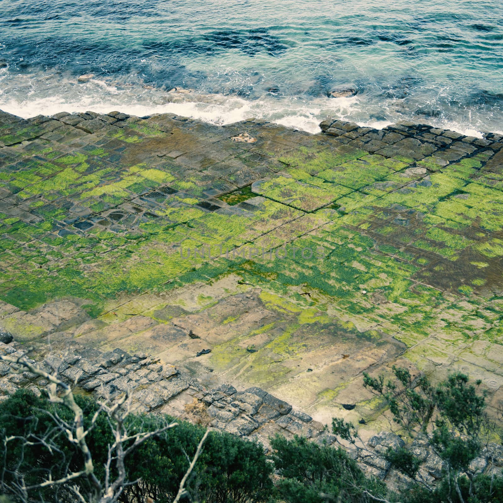 View of Tessellated Pavement in Pirates Bay, Tasmania.