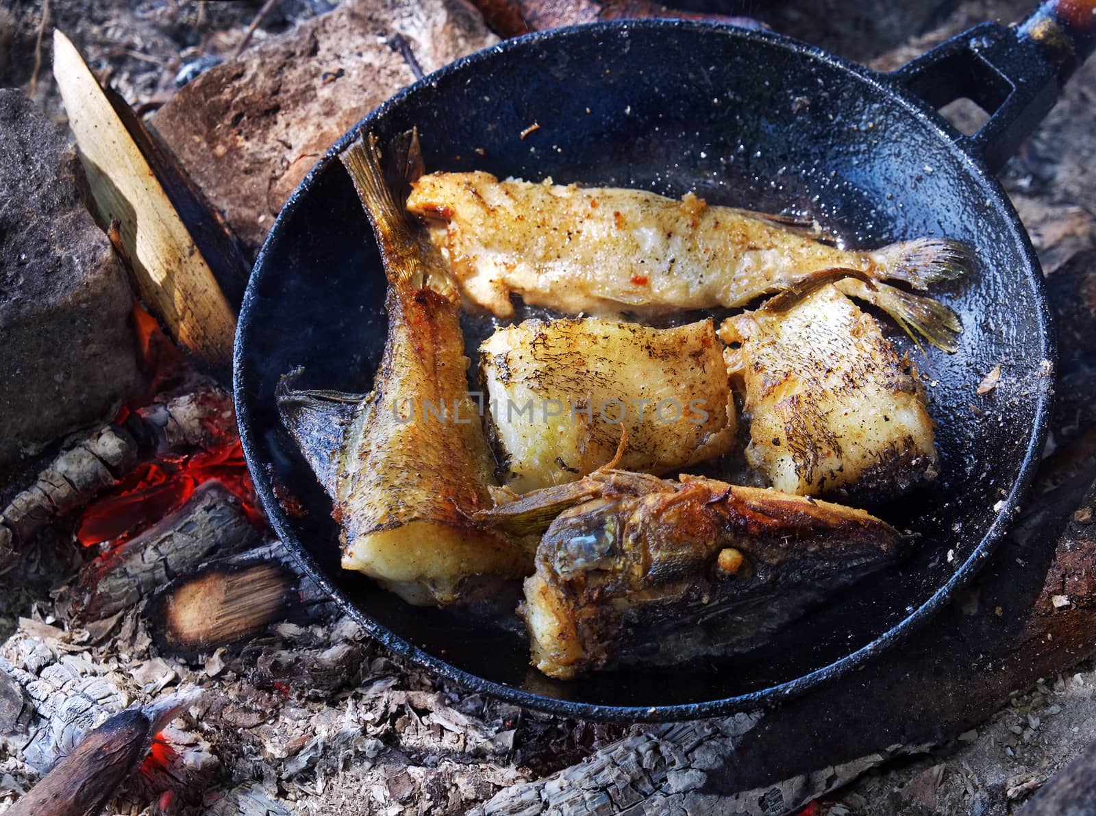 Fried river fish in a cast iron skillet on hot ashes from the fire outdoors.
