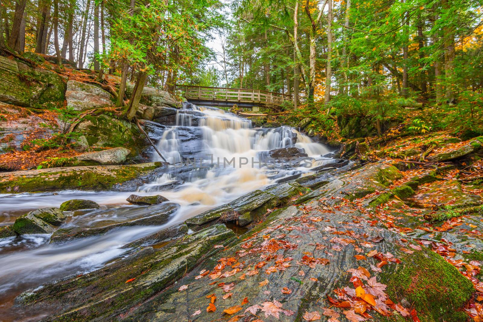 Potts Falls are located near the town of Bracebridge Ontario in the District of Muskoka.