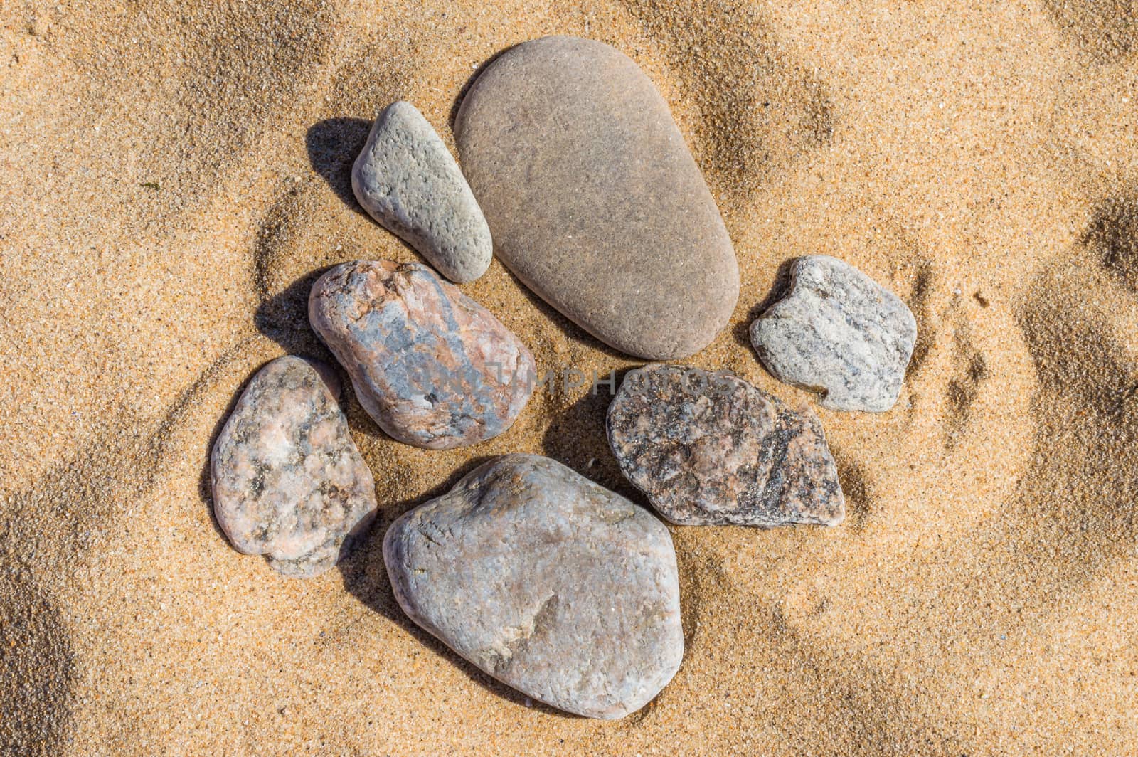 pebbles on the sand of various shapes and colors