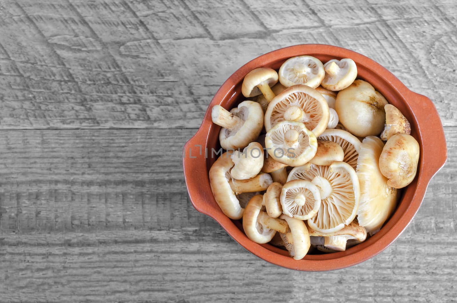 Raw washed mushrooms in a ceramic pot on grey wooden background. The view from the top