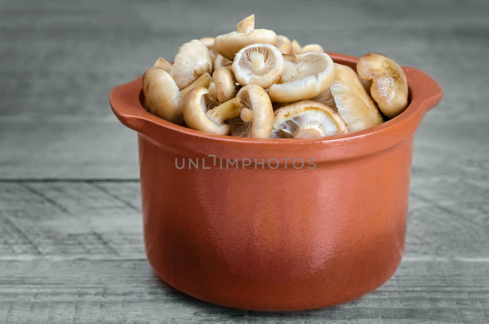 Raw washed the mushrooms in the ceramic pot on grey wooden background