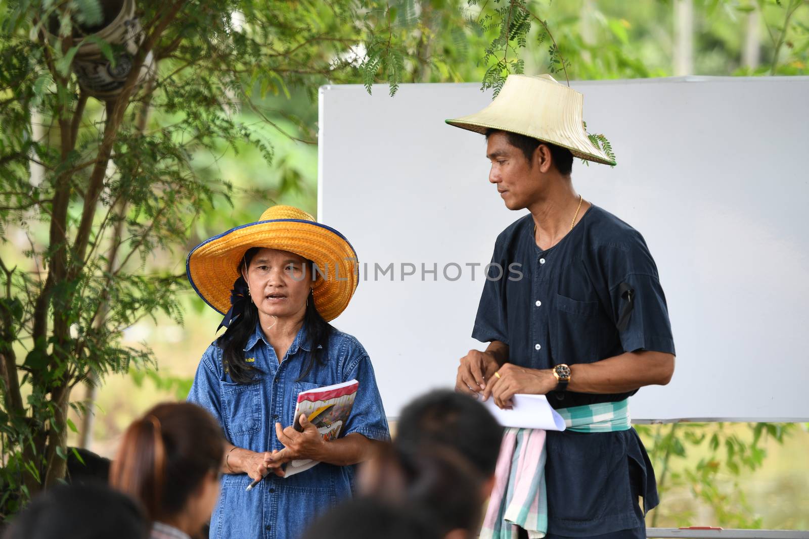 SINGBURI - THAILAND 18 : Farmers planting rice by demonstrating sufficient economy like Kings and Thailand show their loyalty to The monarchy at Bangrachan on October 18, 2016 in Singburi, Thailand.