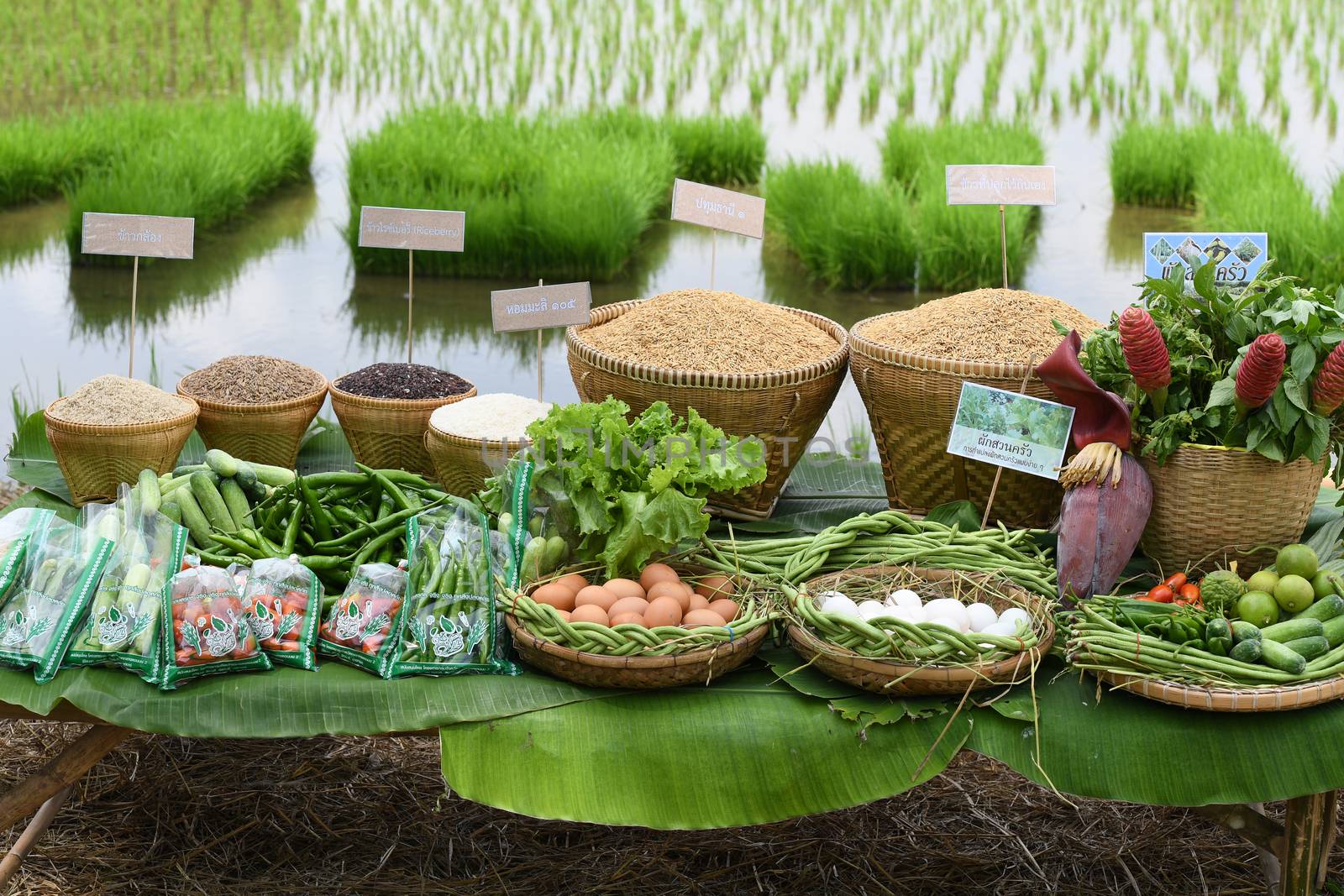 Agricultural products of farmer. by chatchai