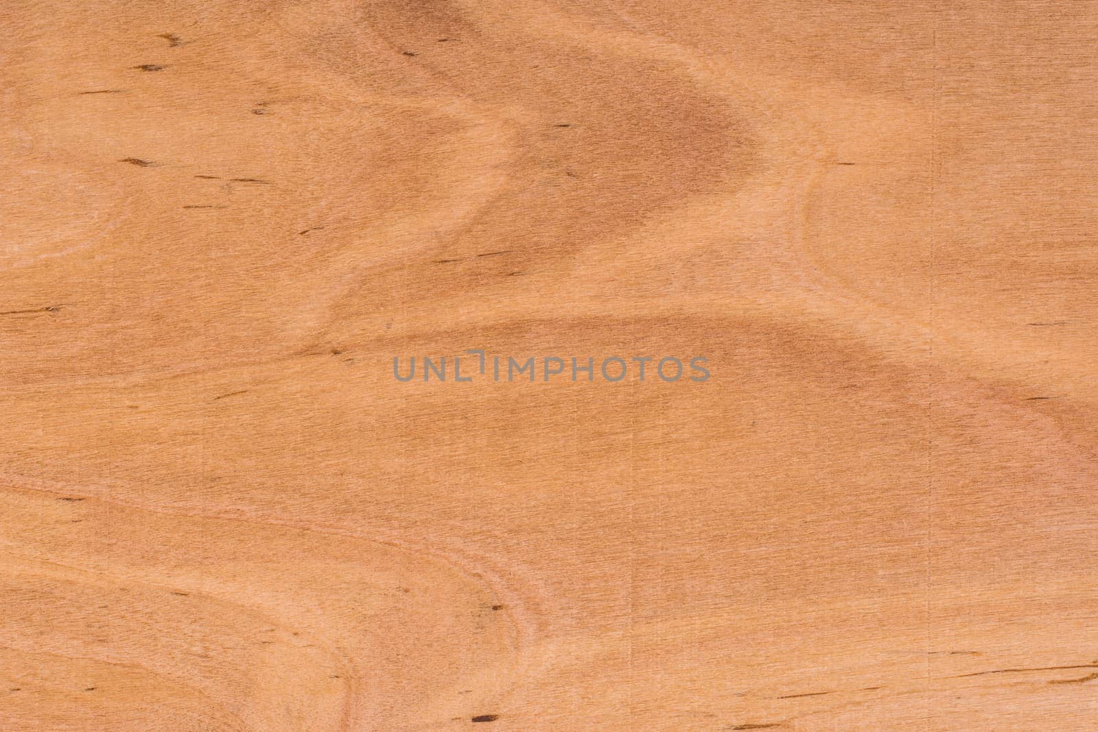 Texture of wood background close up. by DGolbay