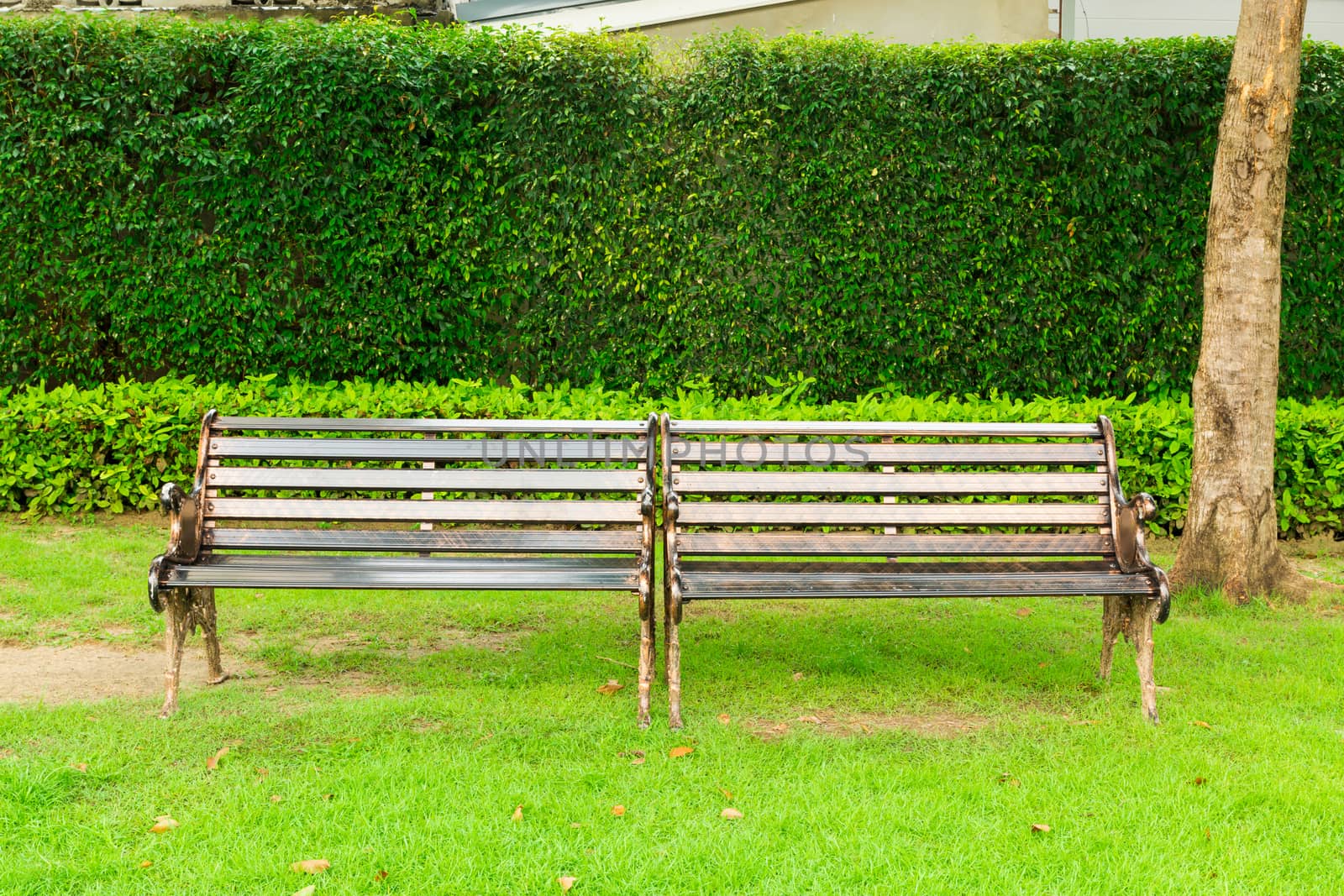 Stylish bench in summer park