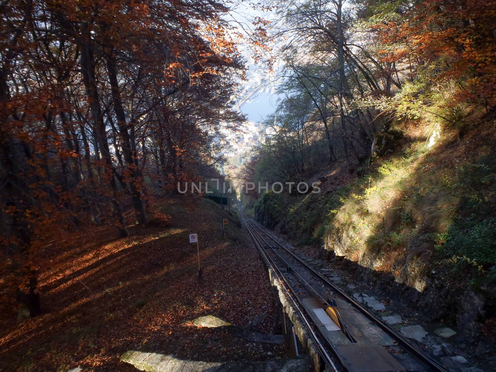 Lugano, Switzerland: San Salvatore funicular line between the mountain forest