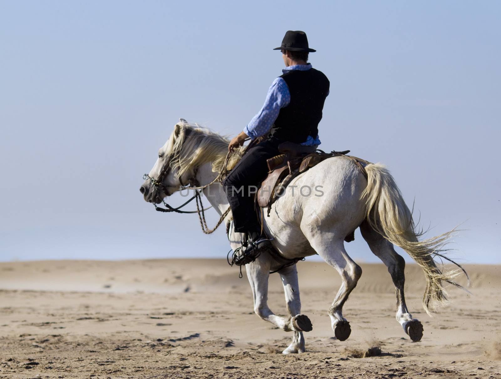 horseman on the beach by cynoclub