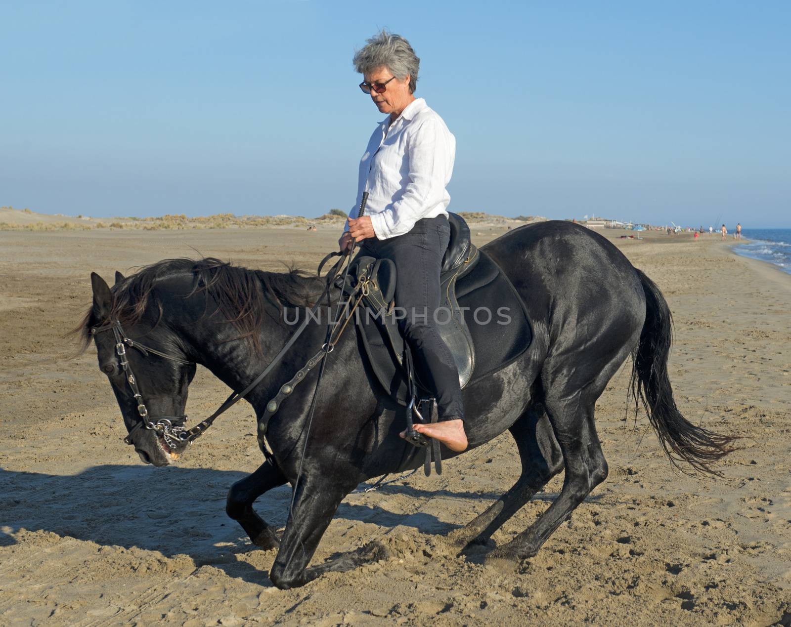 horsewoman on the beach by cynoclub