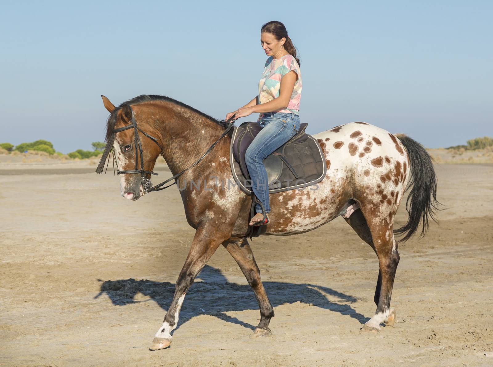 woman and appaloosa horse walking on the beach
