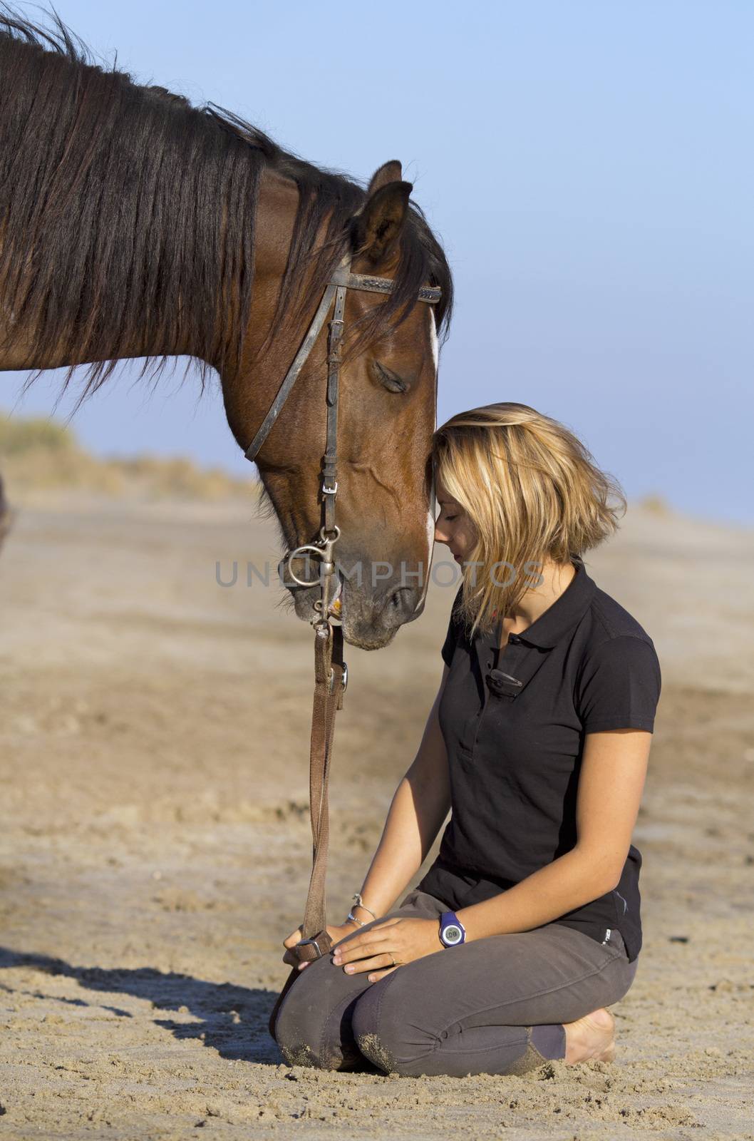 horsewoman and her horse on the beach