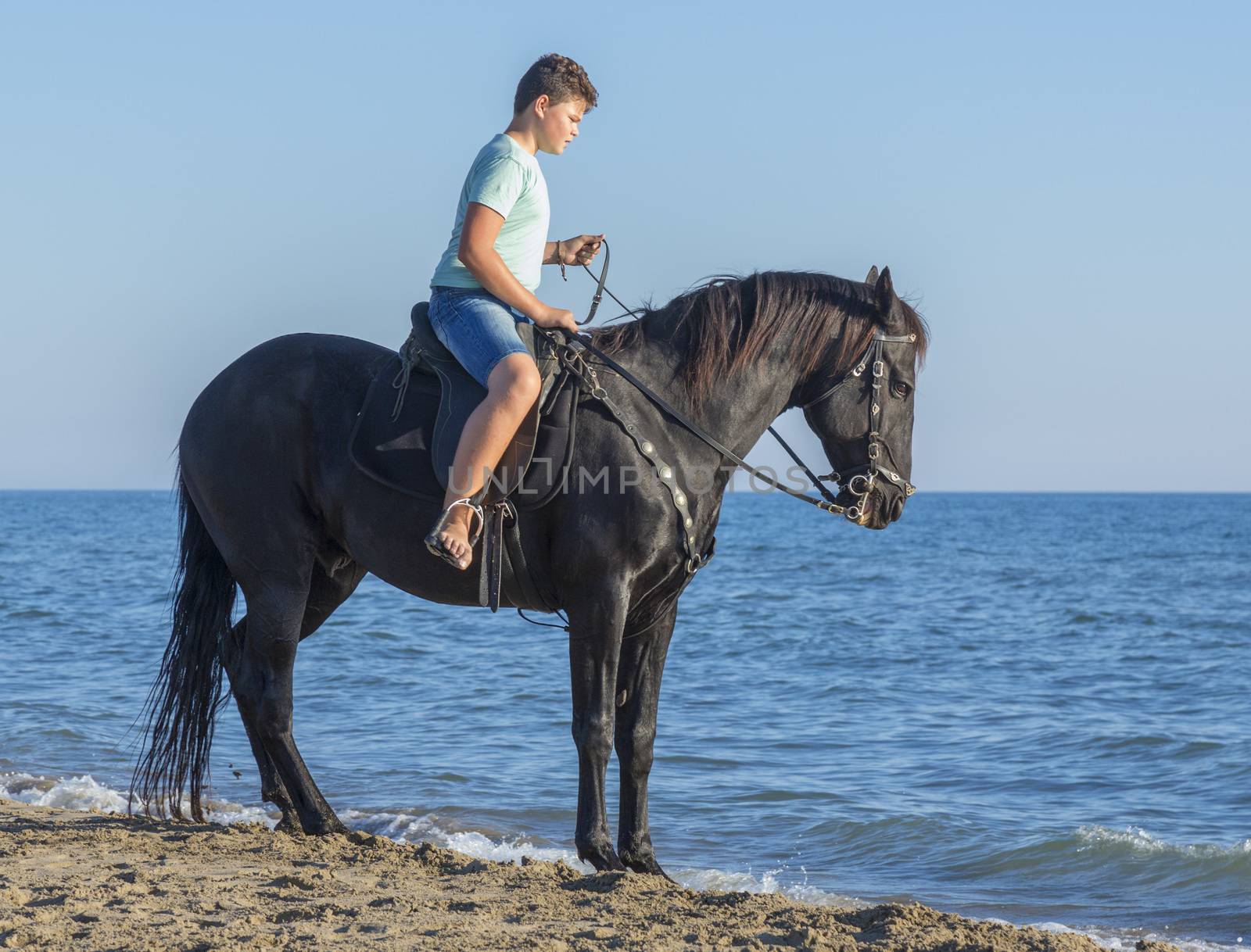 young rider and his horse on the beach