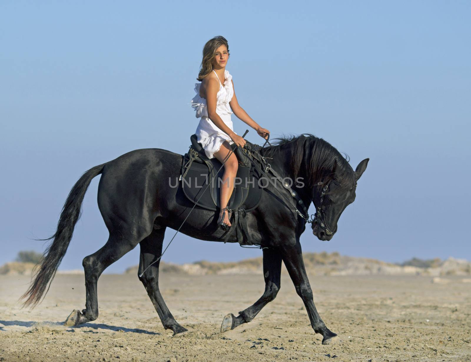horseteen on the beach by cynoclub