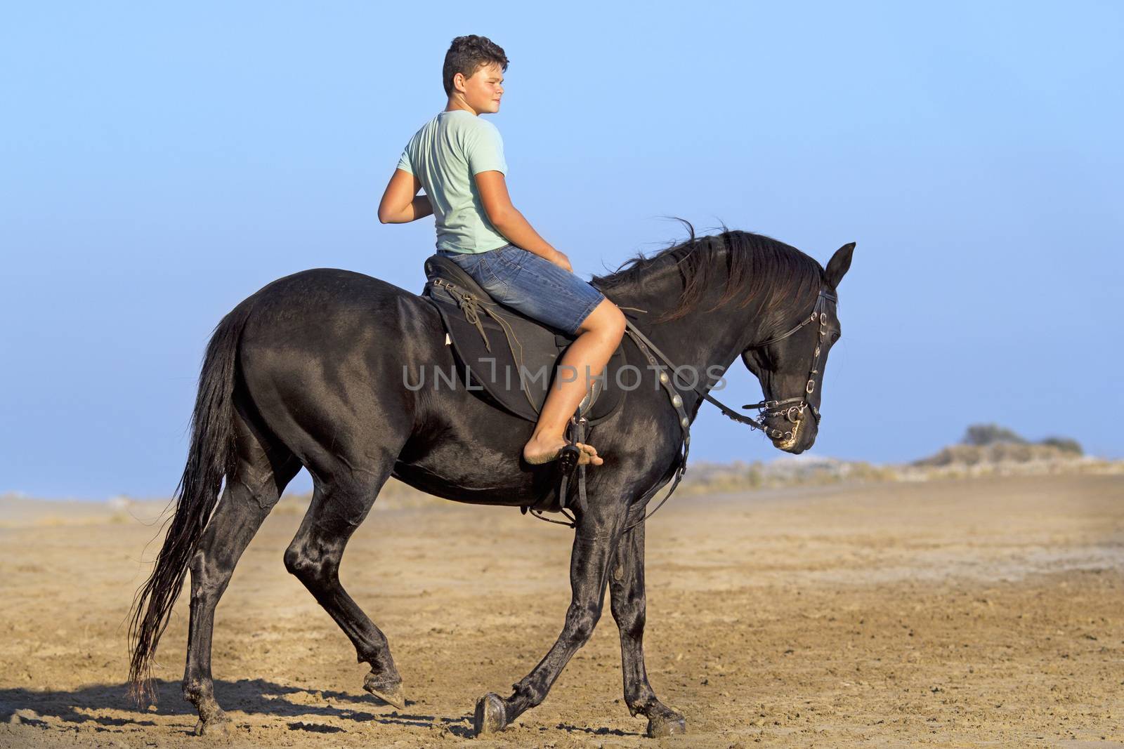 young rider on the beach by cynoclub