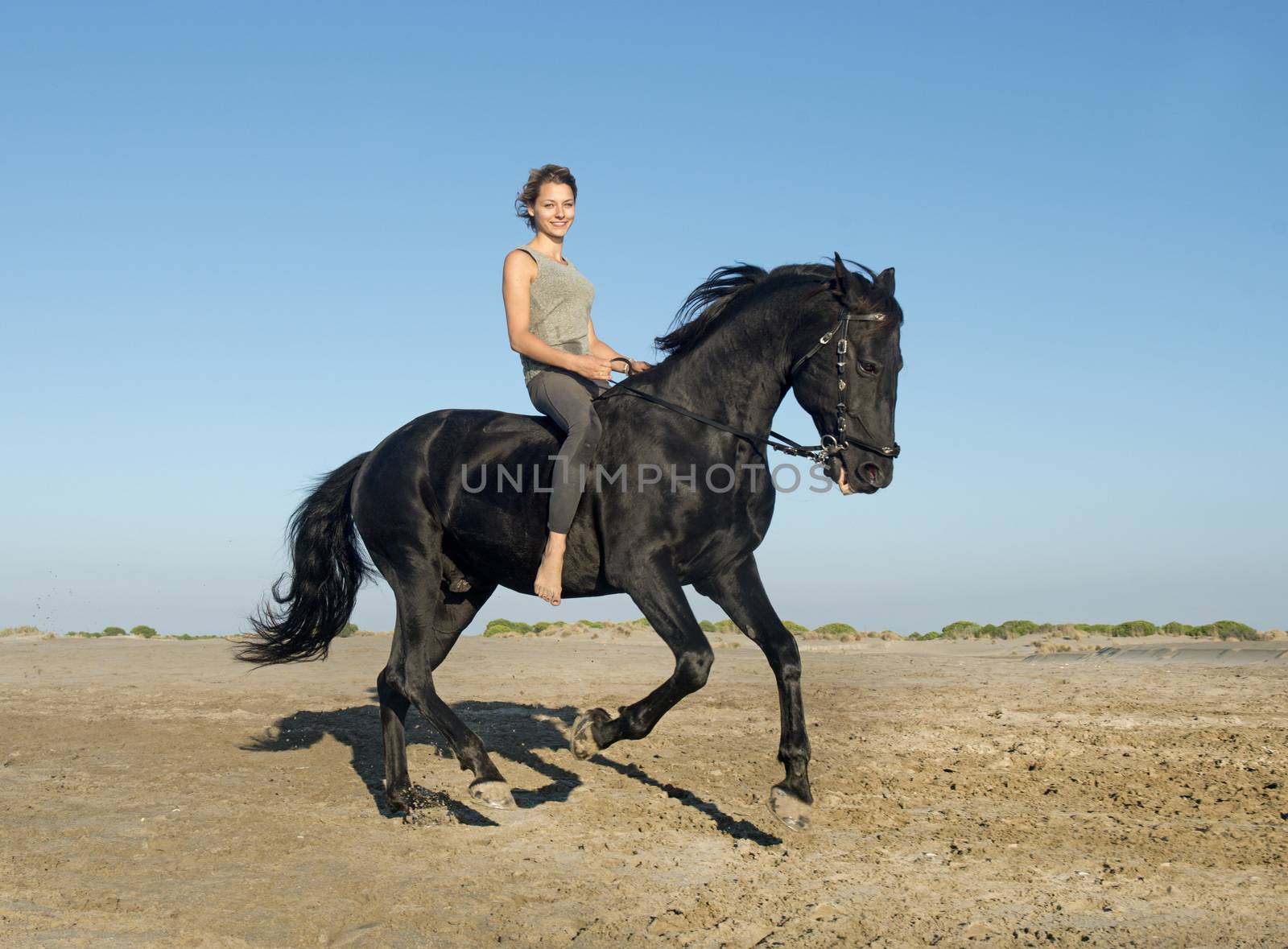 horse woman galloping with her black stallion on the beach