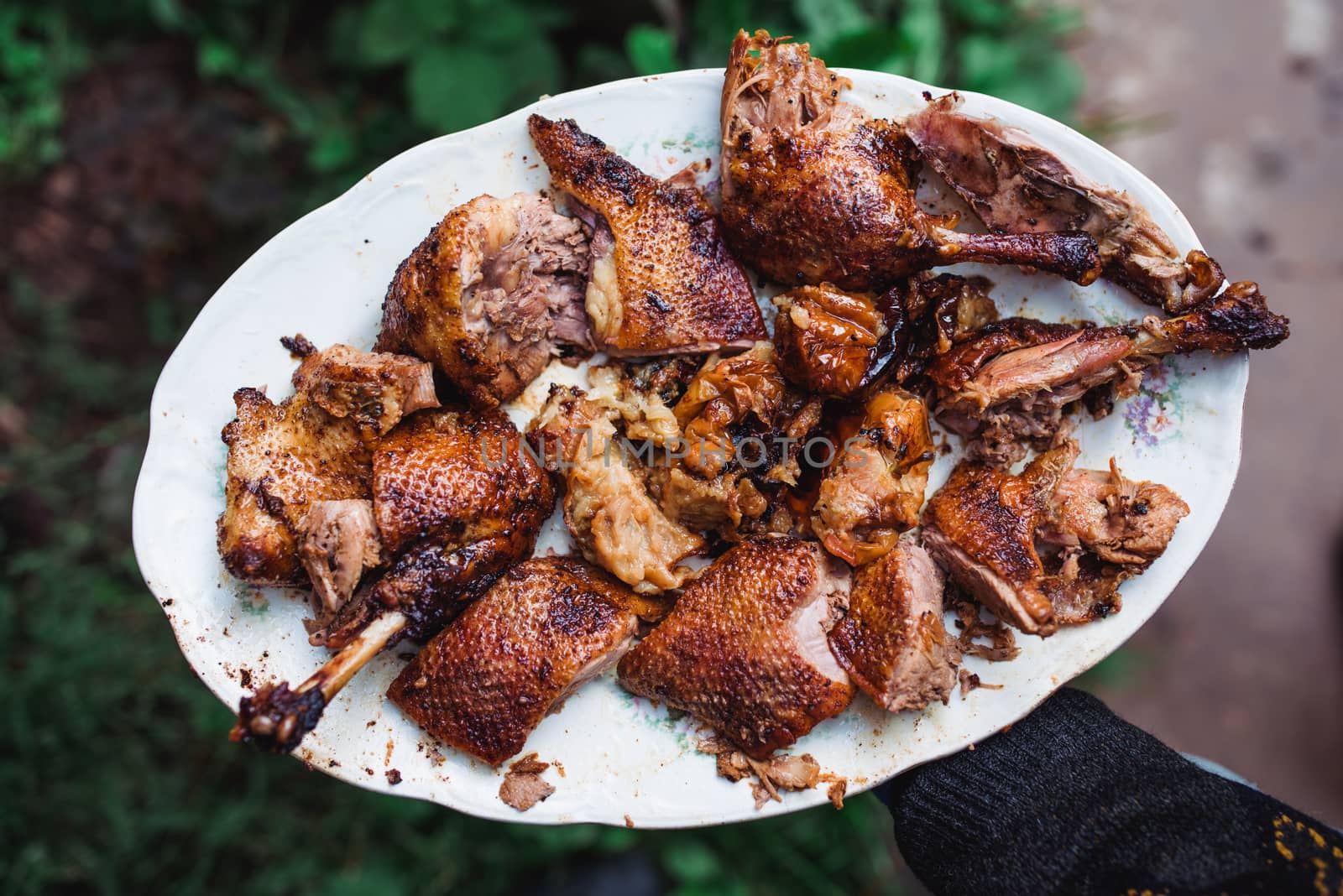 man's hand holds grilled roast chicken on white plate.