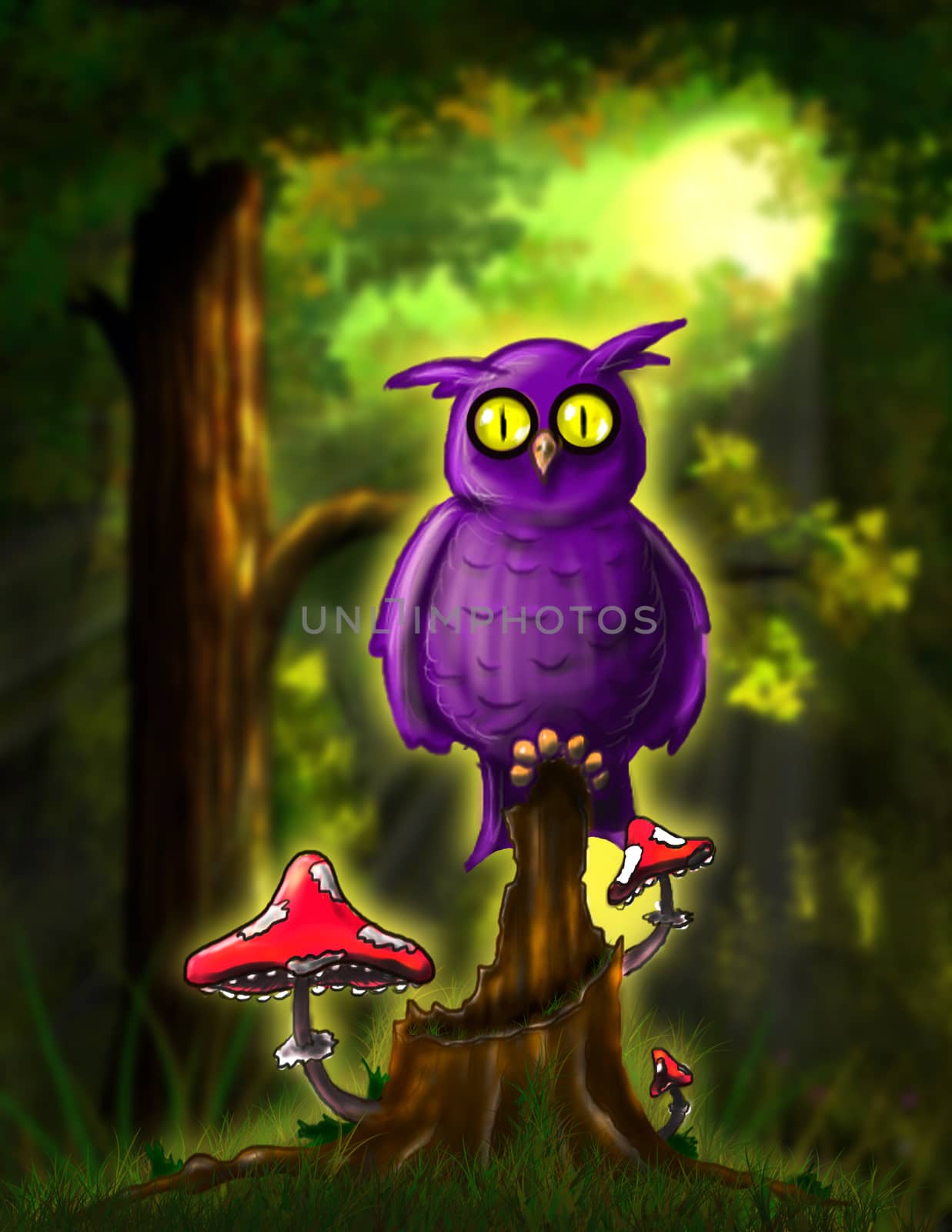 Fairy Owl in the Forest by brux