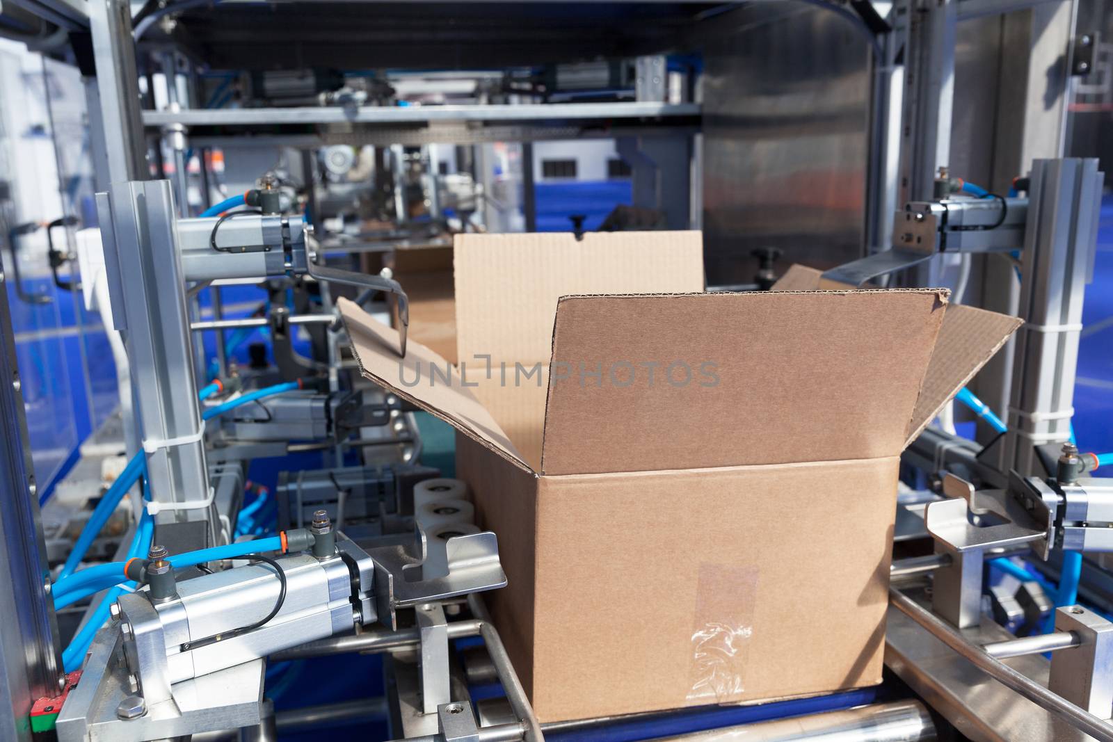 Cardboard package box packing machine by wellphoto