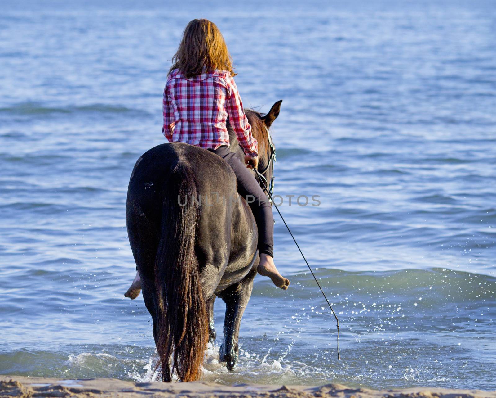 horse woman and her stallion riding in the sea