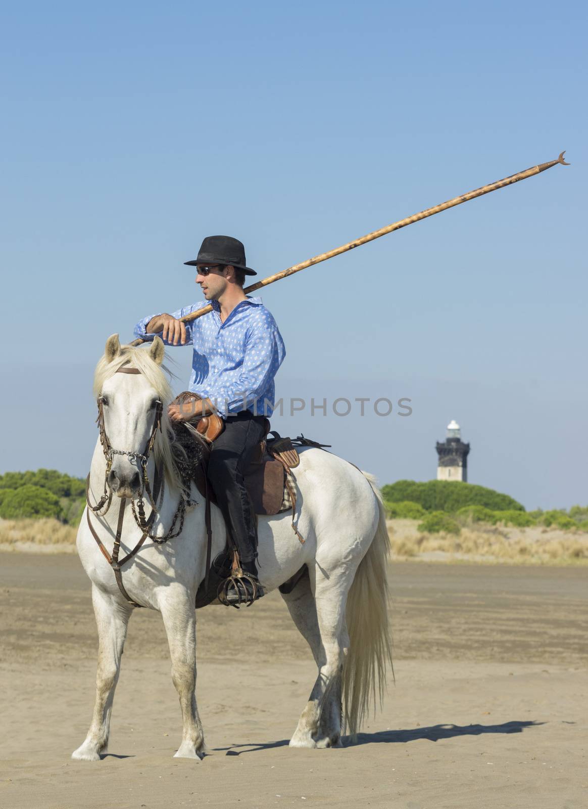 herdsman on the beach whit his Camargue horse