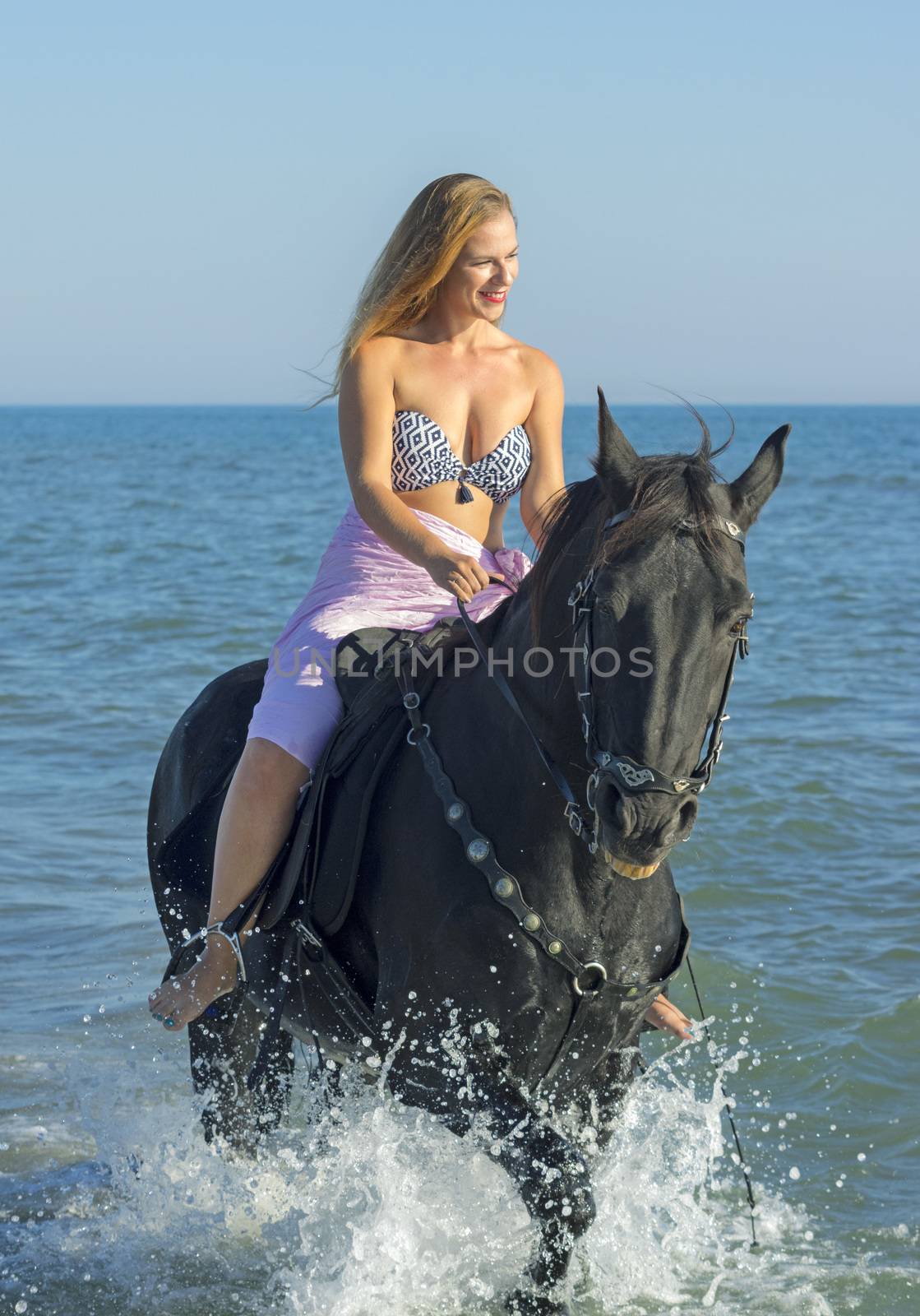 horse woman and her stallion in the sea