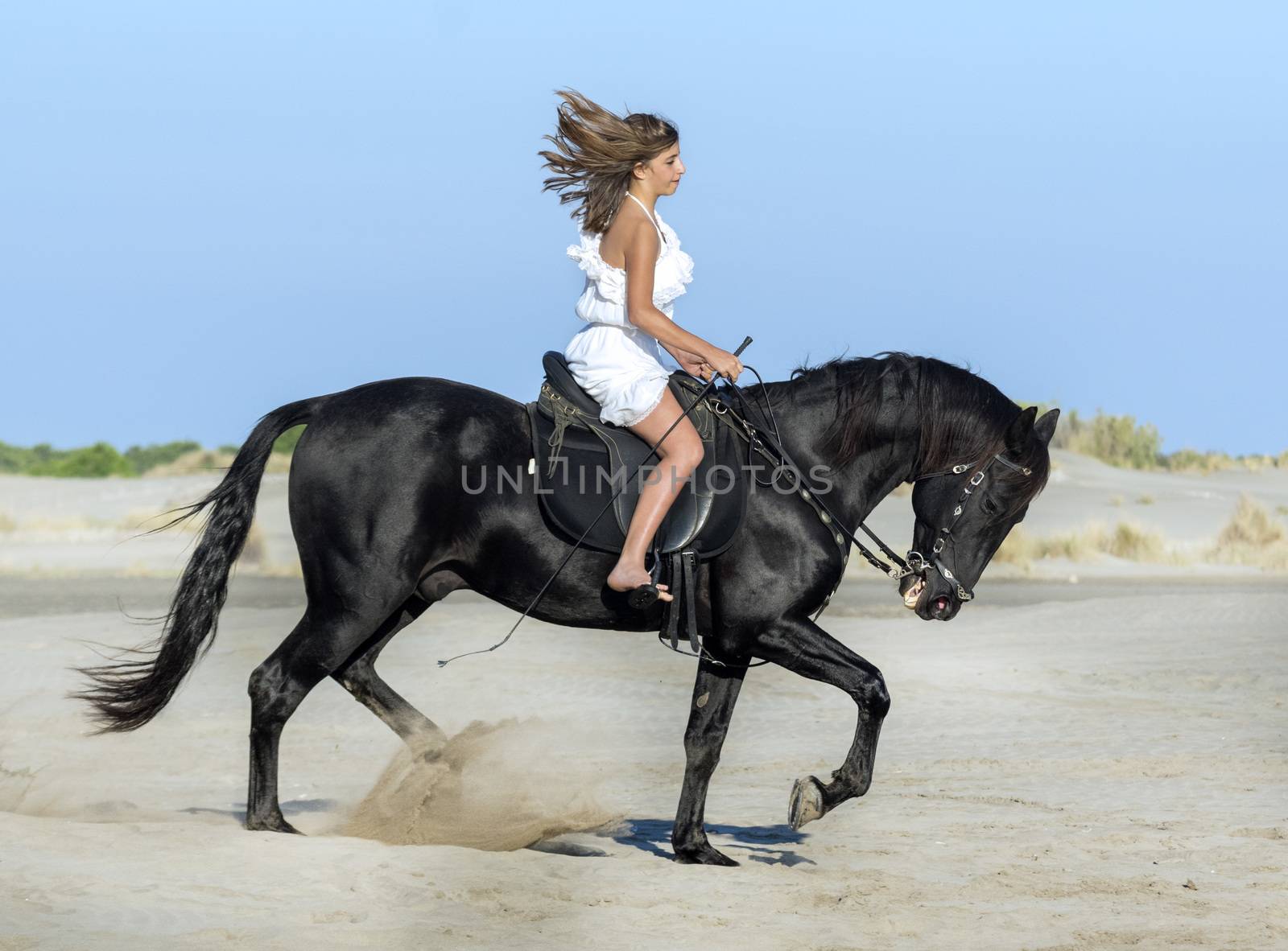 horse woman and her stallion riding on the beach