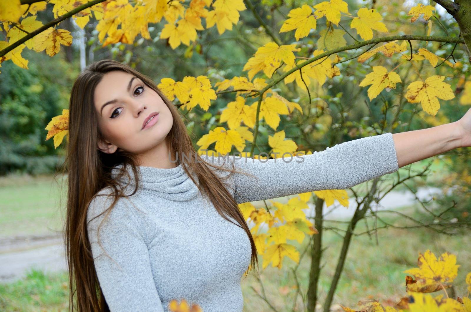 Polish forest with colorful leaves. Portrait of young female model with autumn scenery. 