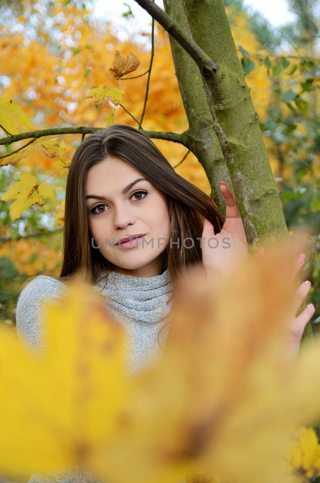 Polish forest with colorful leaves. Portrait of young female model with autumn scenery. 