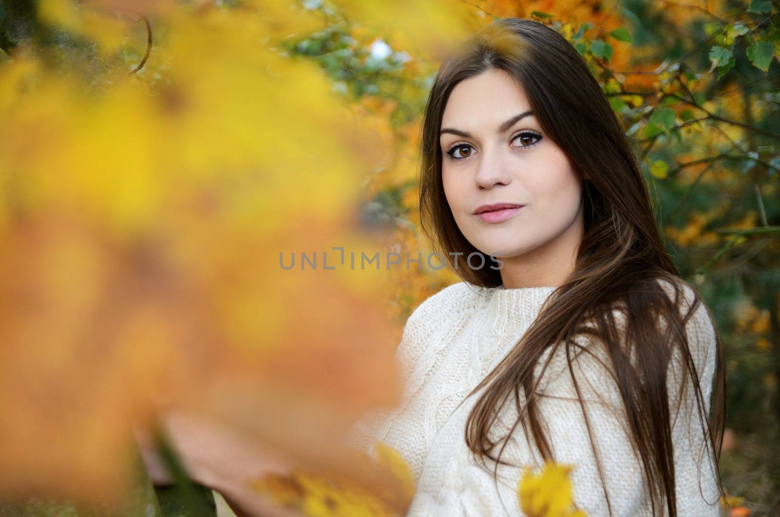 Polish forest with colorful leaves. Portrait of young female model with autumn scenery. 