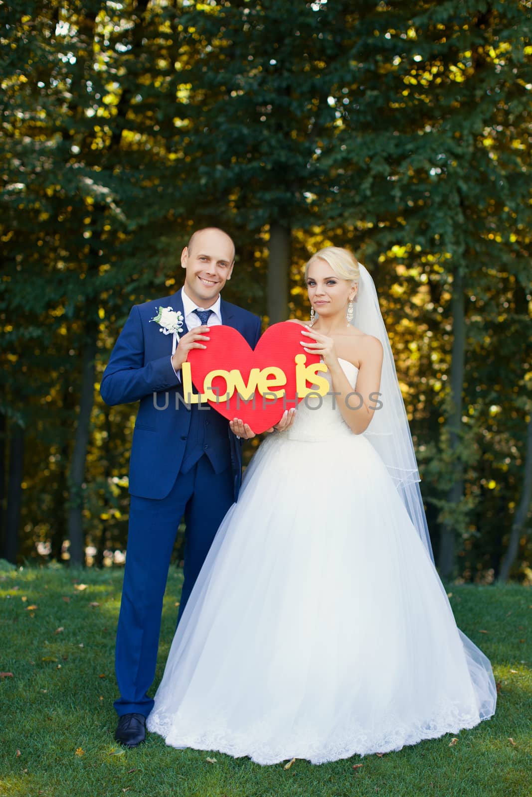 Newlyweds are holding a red heart on a green glade